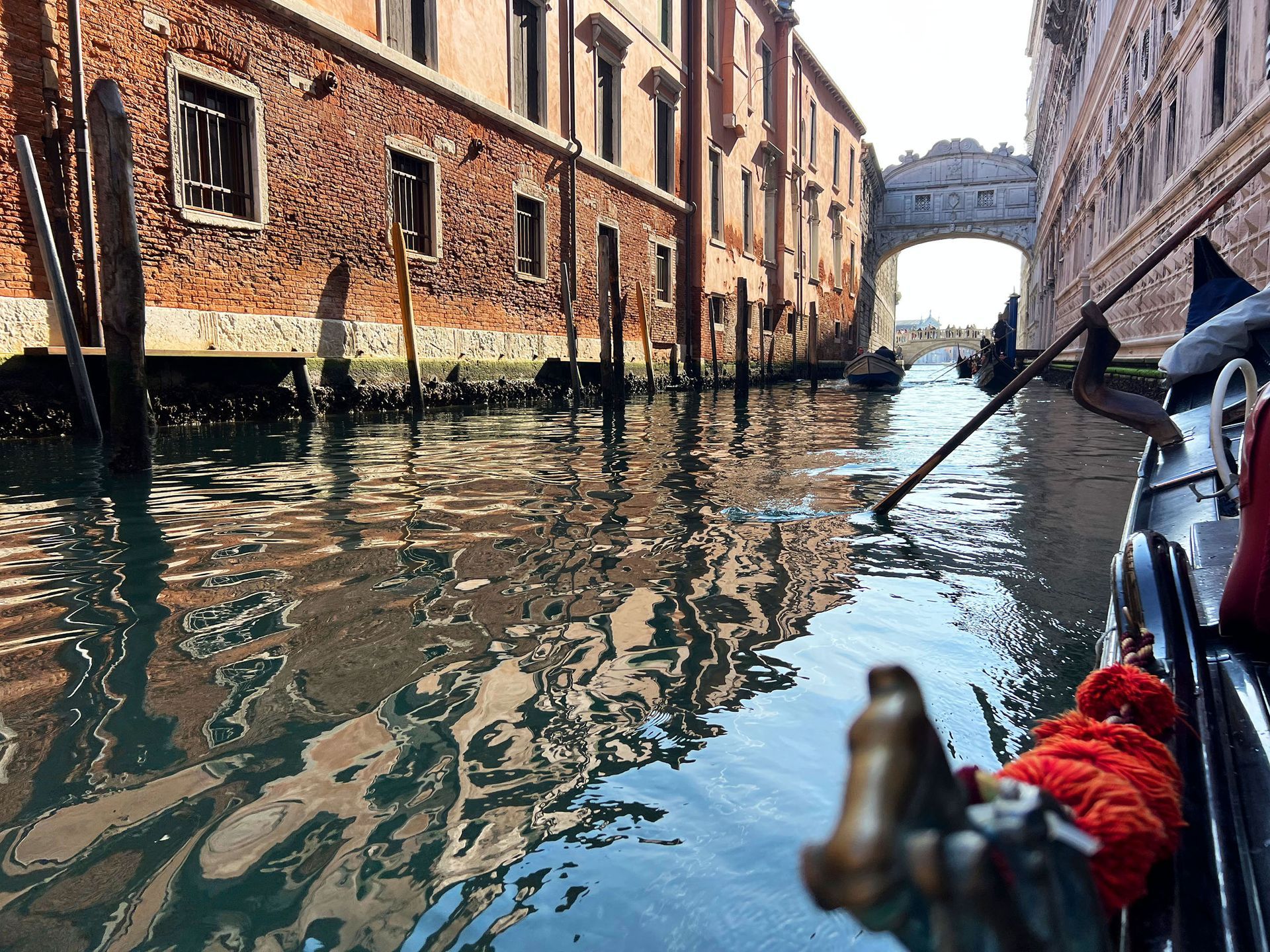 Come nasce una gondola: il lavoro paziente degli squeraroli veneziani
