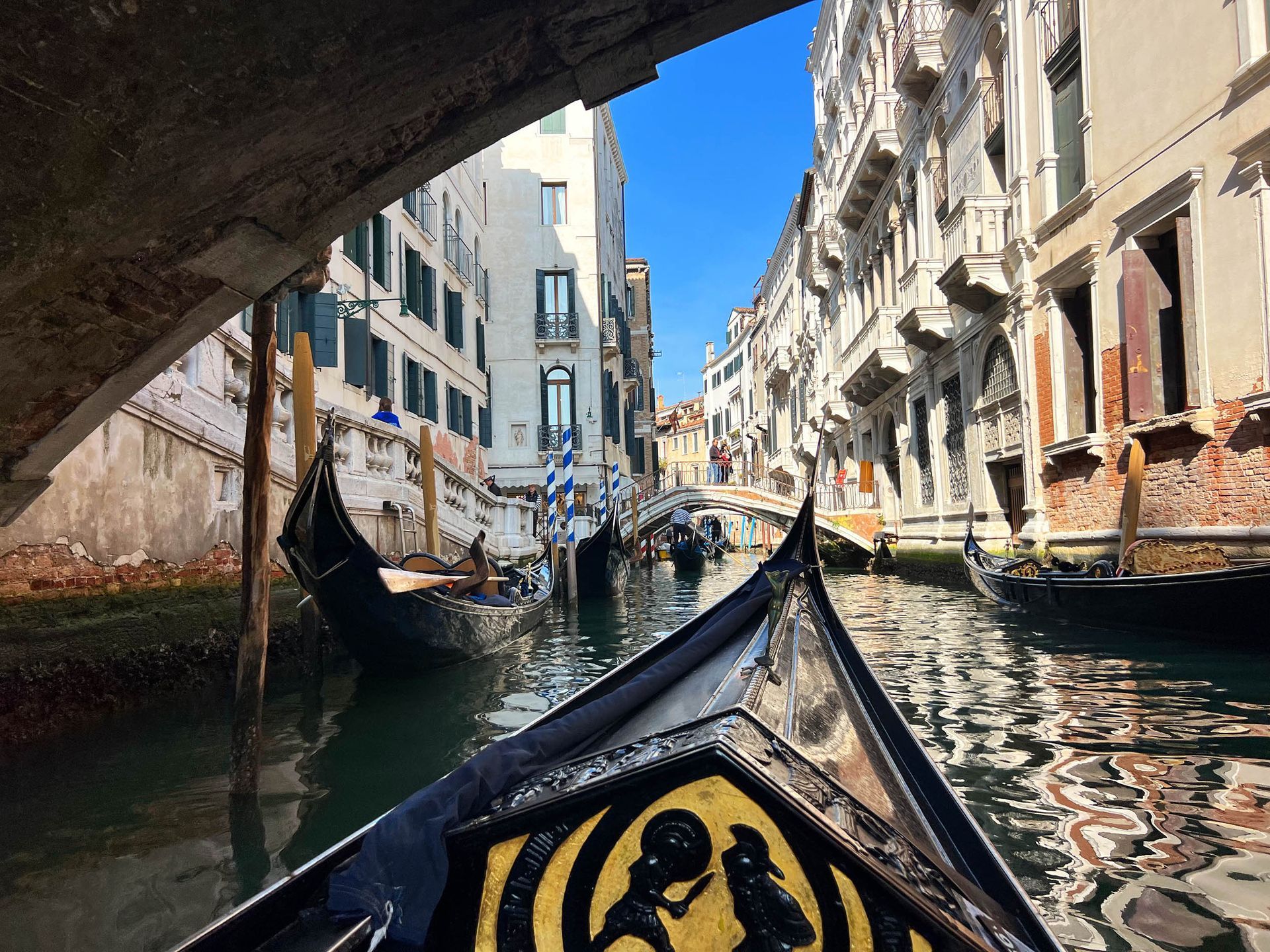 Zeremonielle Gondeln in Venedig: wenn die Stadt die wichtigsten Momente begleitet
