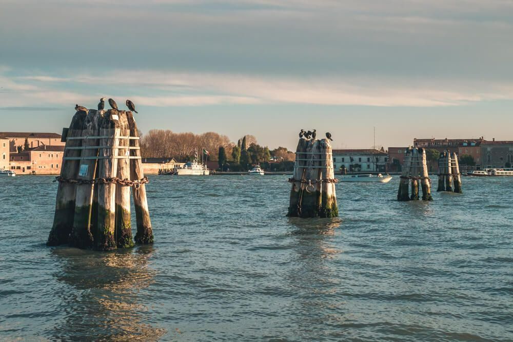 Venice high tide, it's not a problem why?