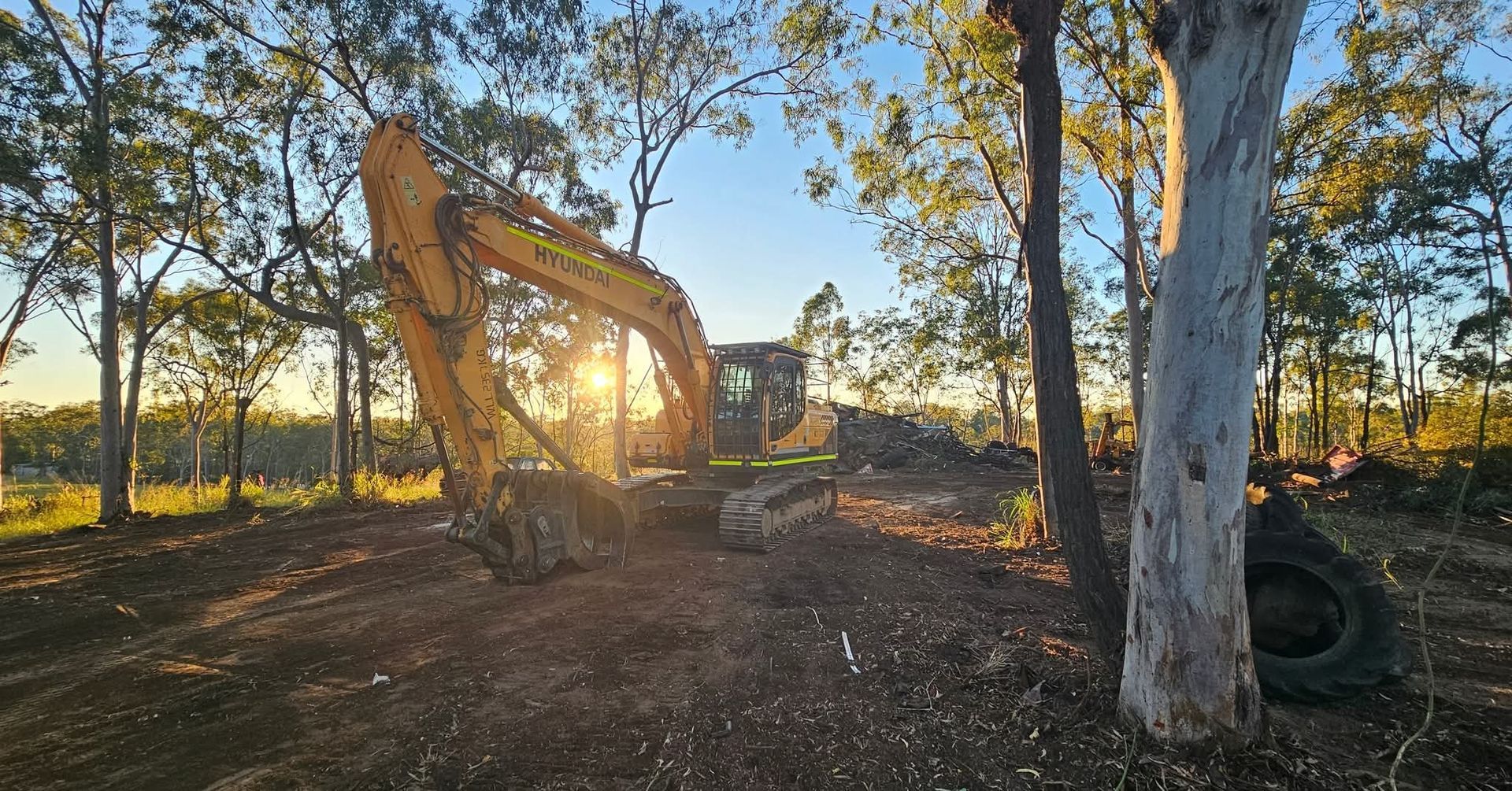 Excavator Clearing Brush at Sunset in A Wooded Area with Trees and Fallen Debris — NPX Solutions In Gympie, QLD