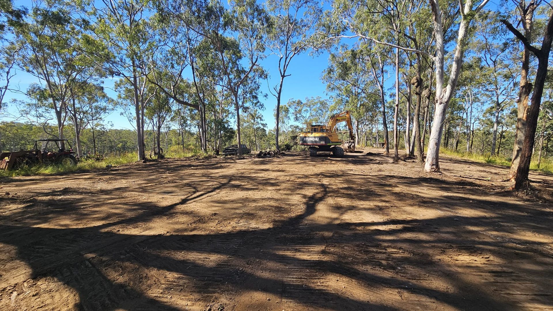 Clearing of Trees in a Forest, Excavator in Background, Sunny Day — NPX Solutions In Gympie, QLD