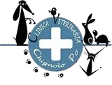 CLINICA VETERINARIA CHIGNOLO PO - LOGO CLINICA VETERINARIA CHIGNOLO PO - LOGO