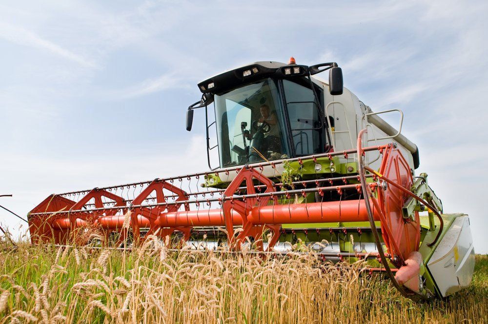Green And Red Colour Tractor Harvesting Combine In The Field Of Wheat — O'Brien's Machinery In Tamworth