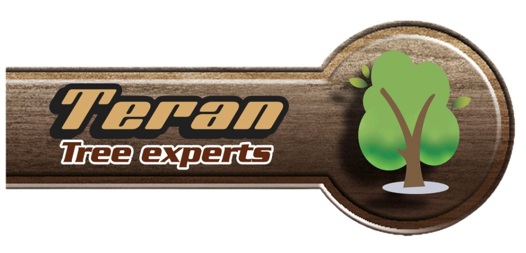 Teran Tree Experts	