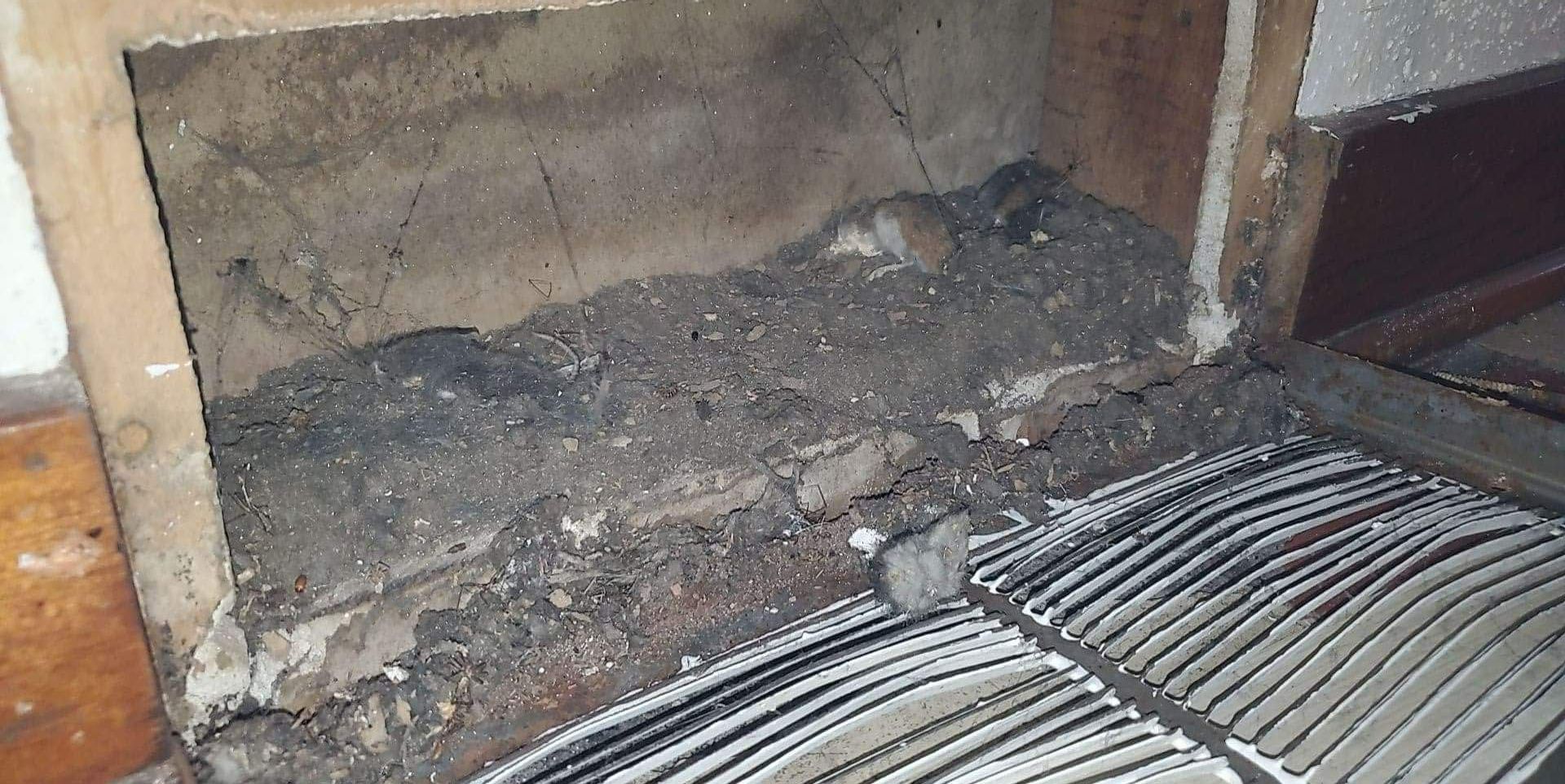 A close up of a piece of wood and a concrete wall.