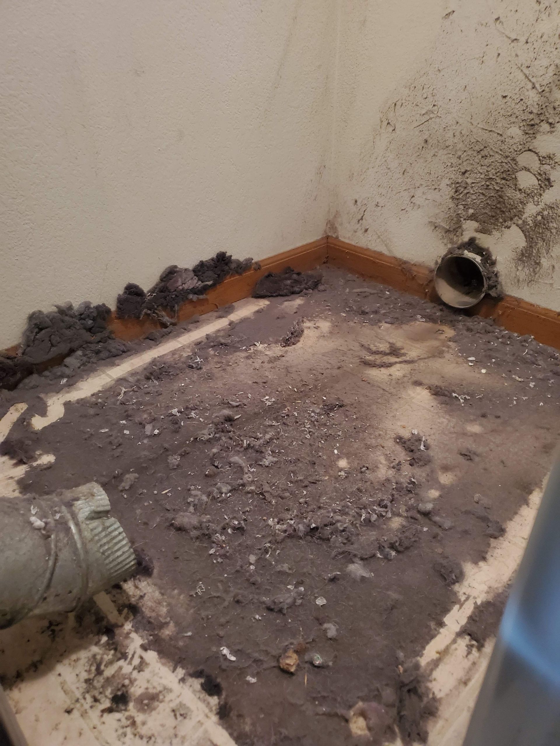 A room with a lot of dust on the floor and a vacuum cleaner.