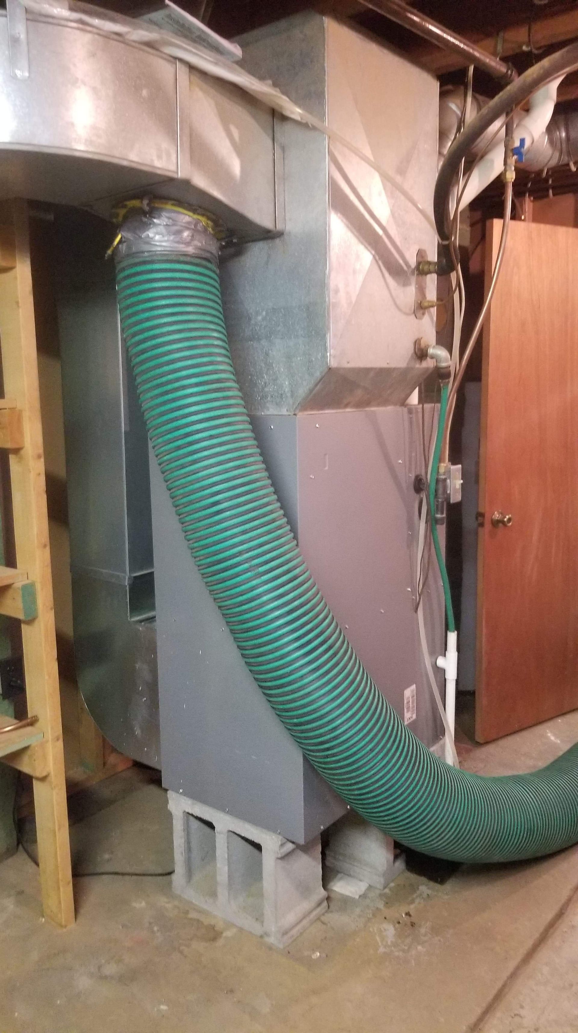 A green hose is attached to a machine in a basement.