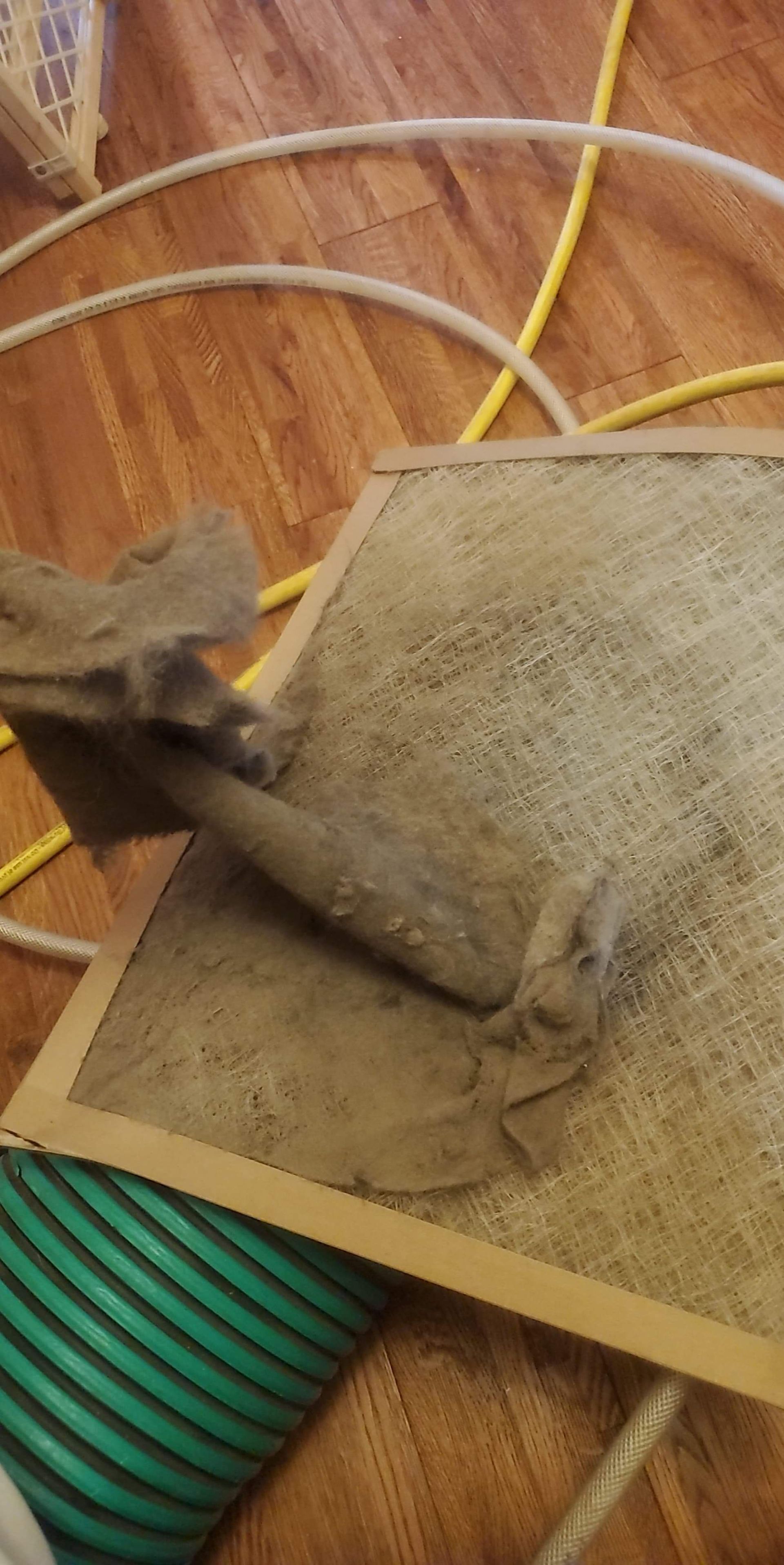 A shovel is laying on top of a piece of wood on a wooden floor.