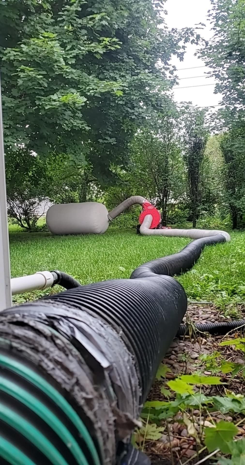 A large black pipe is sitting in the grass in a yard.