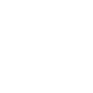 Hibiscus Design Logo