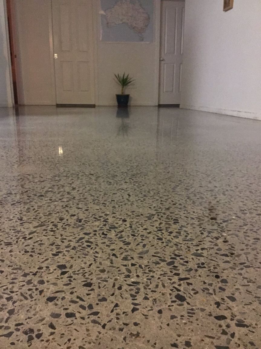 A Shiny Concrete Floor With A Potted Plant In The Background — River2Coast Concreting in Boambee, NSW