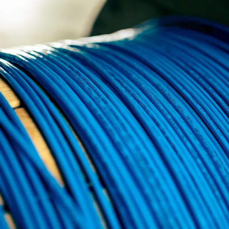A COIL OF ETHERNET CABLE