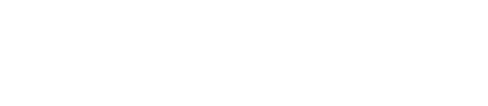 24 S Morgan Apartments Logo.