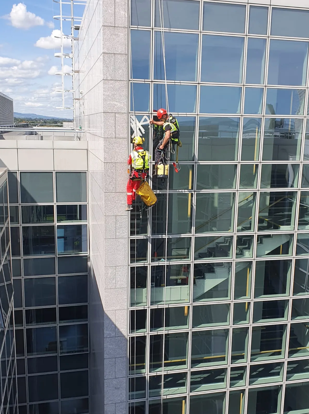 Workers on ropes cleaning a glass building facade high above the ground.