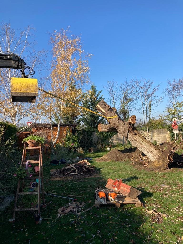 Bagger für das Baumfällen