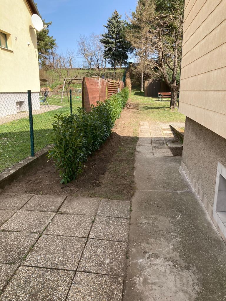 Arbeiten an Hecke
