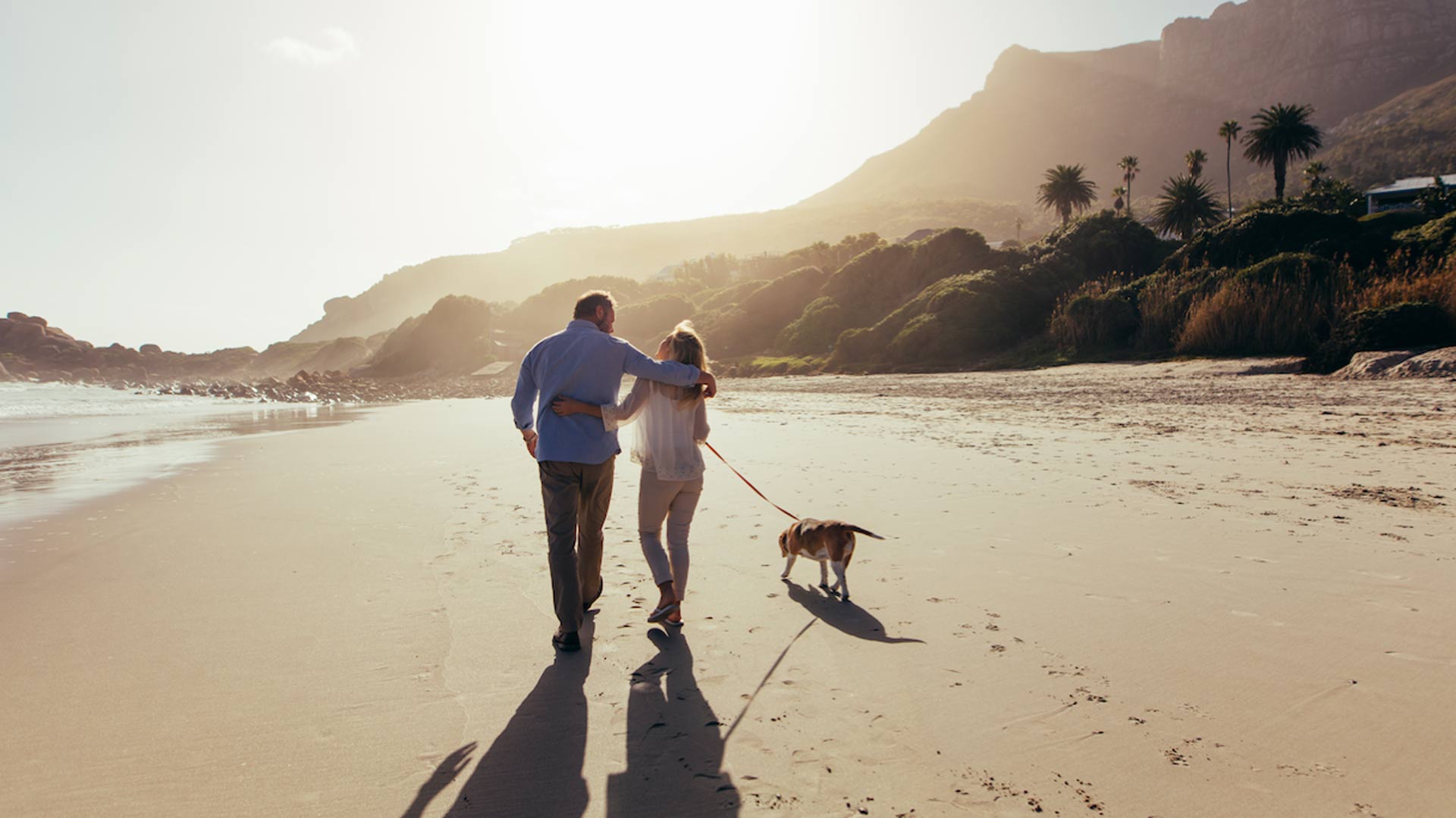reverse mortgage company success