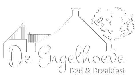 De Engelhoeve B&B De Engelhoeve in Roderwolde