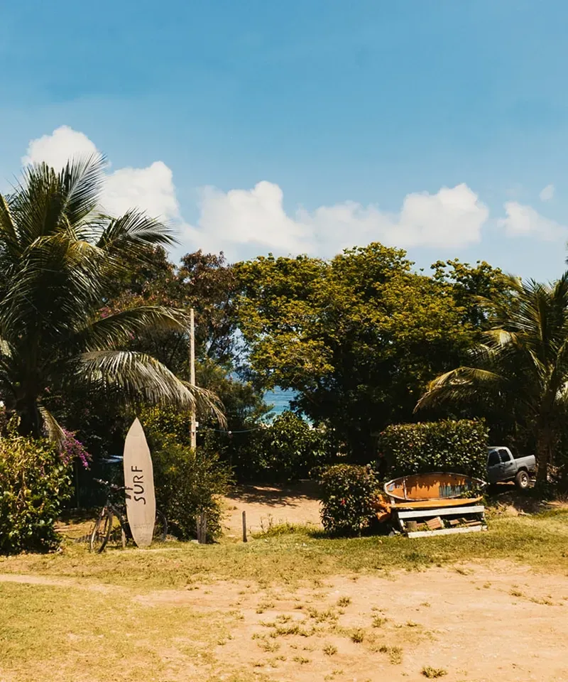 Uma prancha de surfe está em um gramado perto de árvores tropicais e um banco, sob um céu azul ensolarado e límpido.