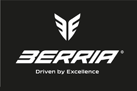 logo berria