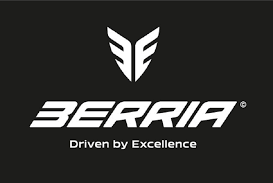 logo berria