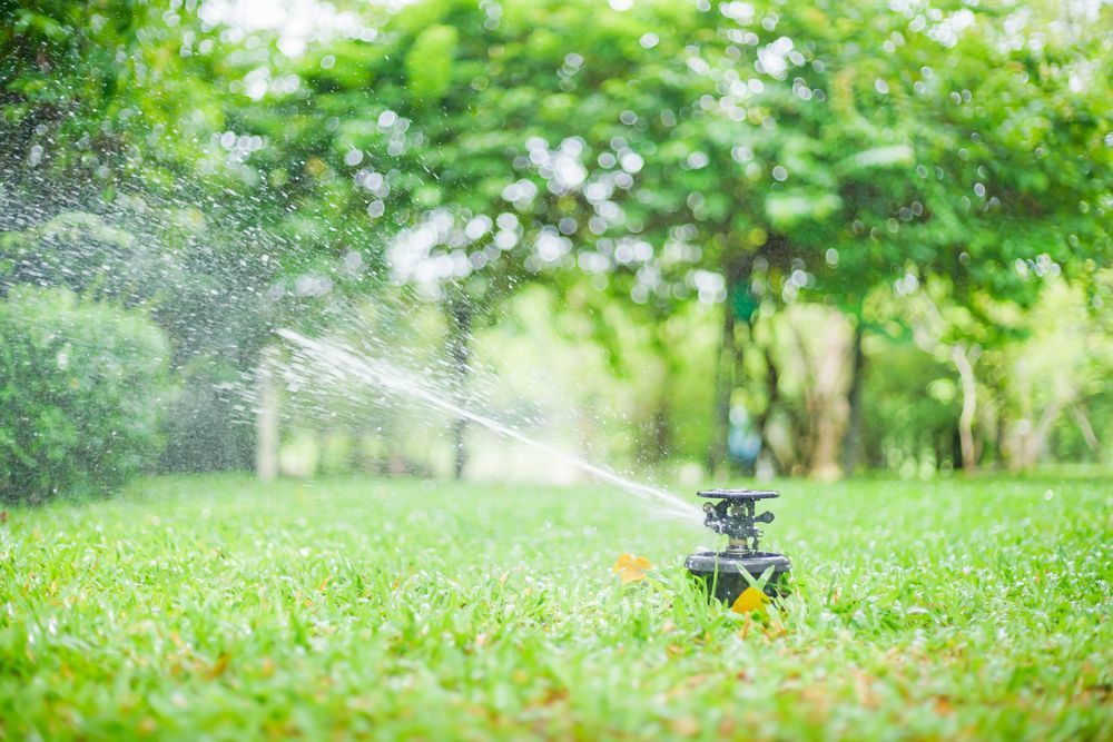 Sprinkler Spraying Water Across a Green Lawn — Rainman Domestic Water In Avoca, QLD
