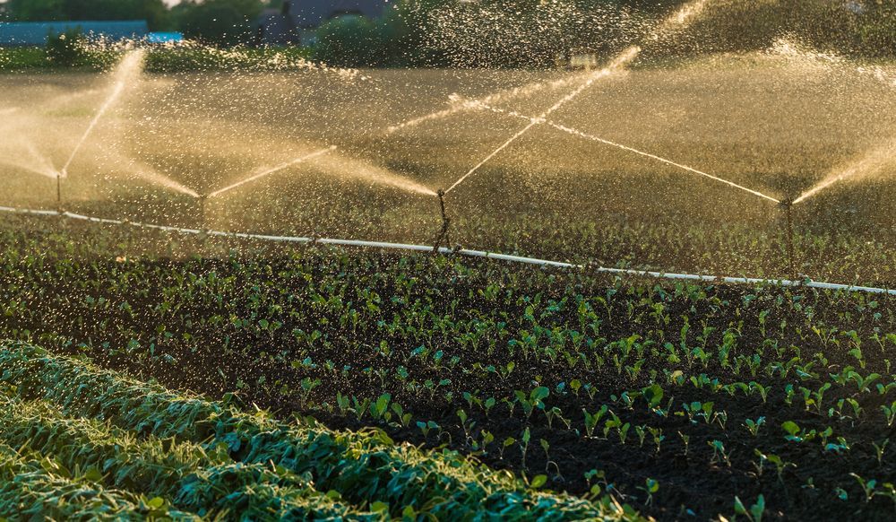 Irrigation Sprinklers Spraying Water Over a Crop Field — Rainman Domestic Water In Gin Gin, QLD