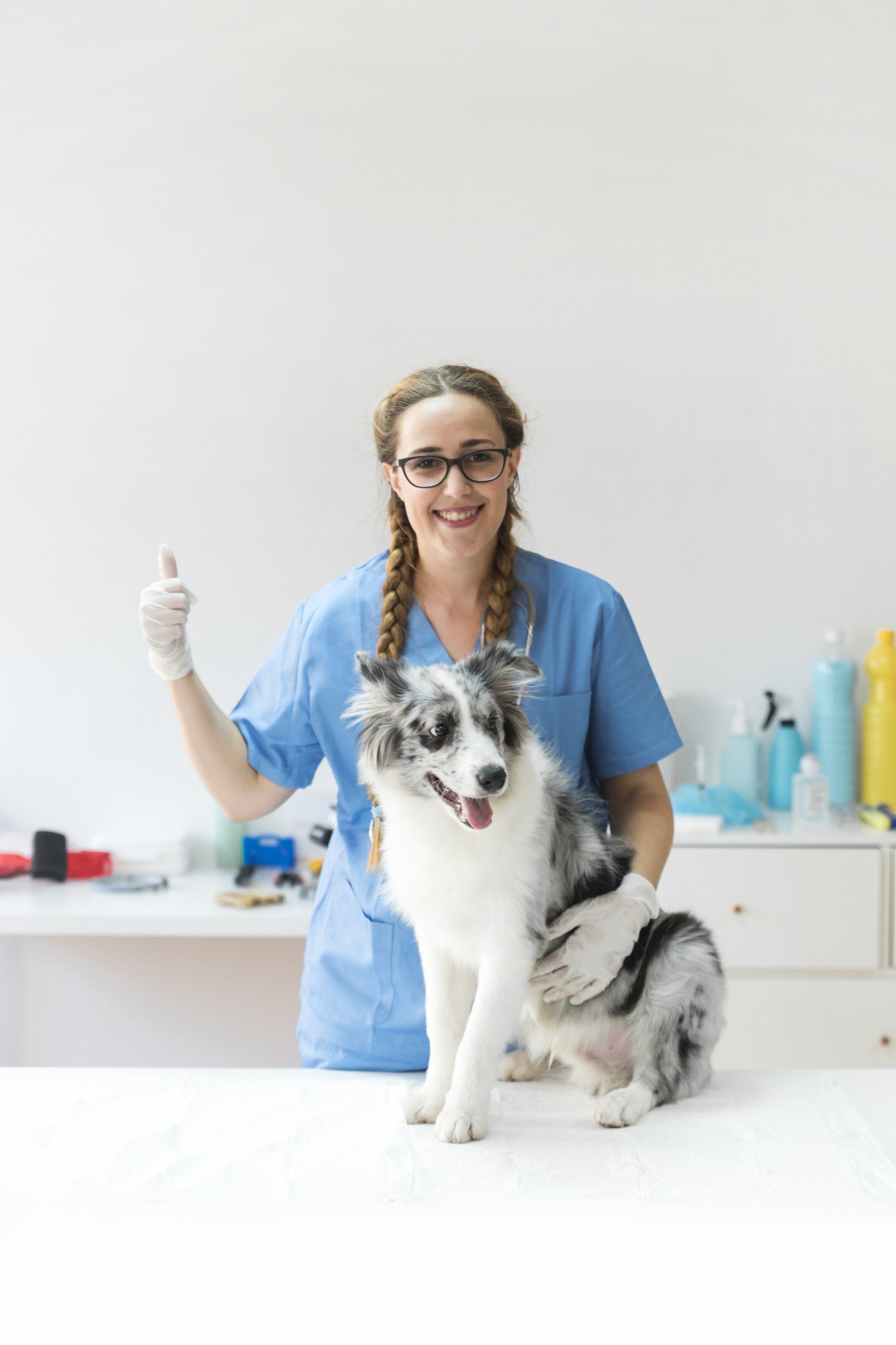 auxiliar de veterinaria
