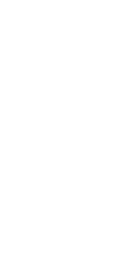 Icon Ziege