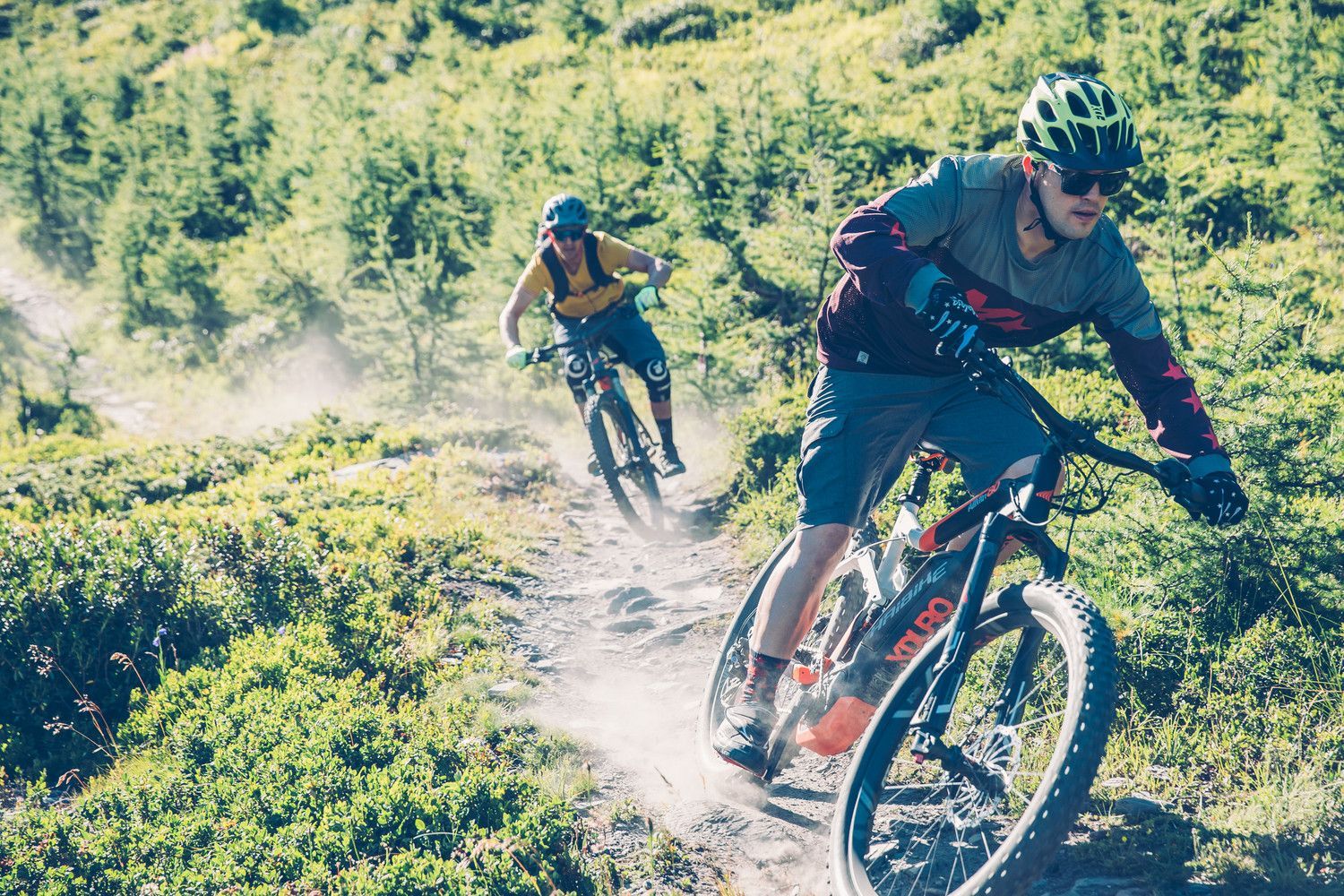 mehrere Mountainbiker bei der Abfahrt