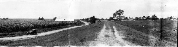 A 1921 panoramic photograph of the Federal Food Company sugarcane fields in Des Allemands, taken by Charles L. Franck.