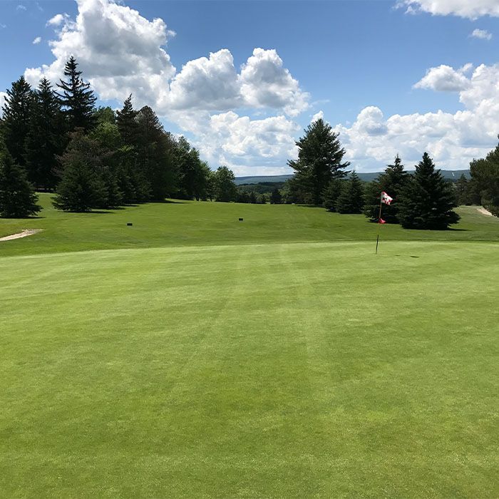 Golf green with flag on a sunny course, surrounded by trees and a partly cloudy sky