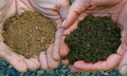 Whitecap Builders selected the right compacted fill dirt and screened topsoil for a project in Lincolnville.
