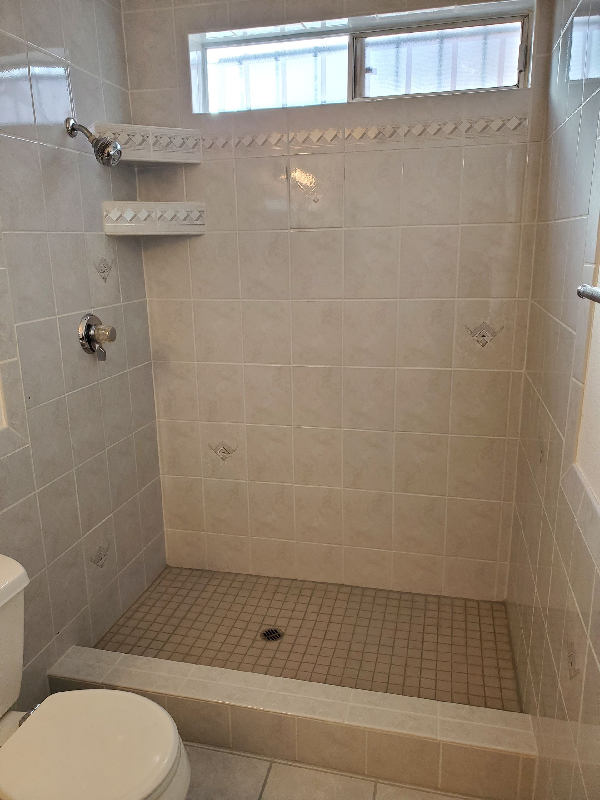 A bathroom with a toilet and a walk in shower.