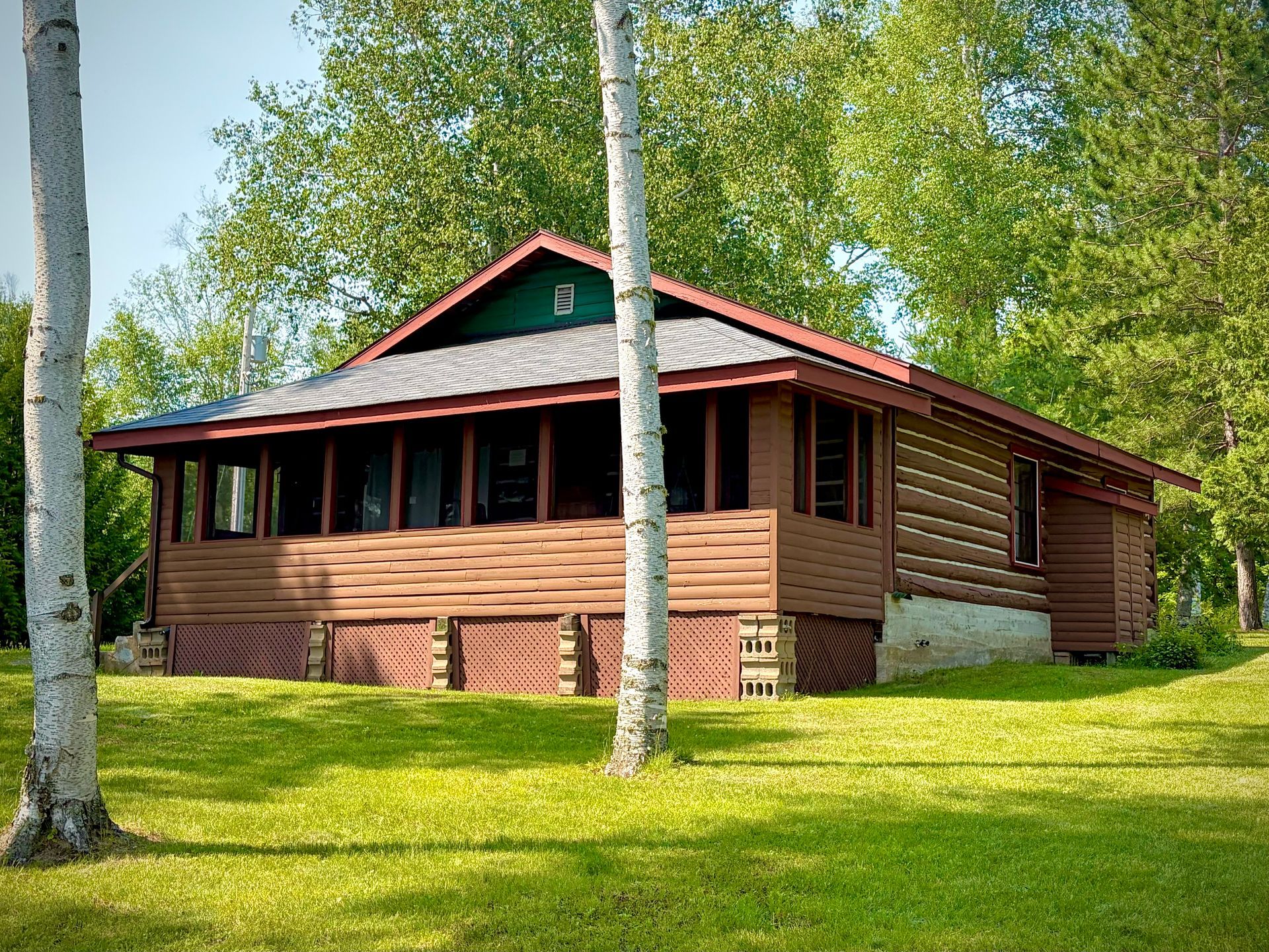White Pine cottage on a grassy lawn, surrounded by tall trees