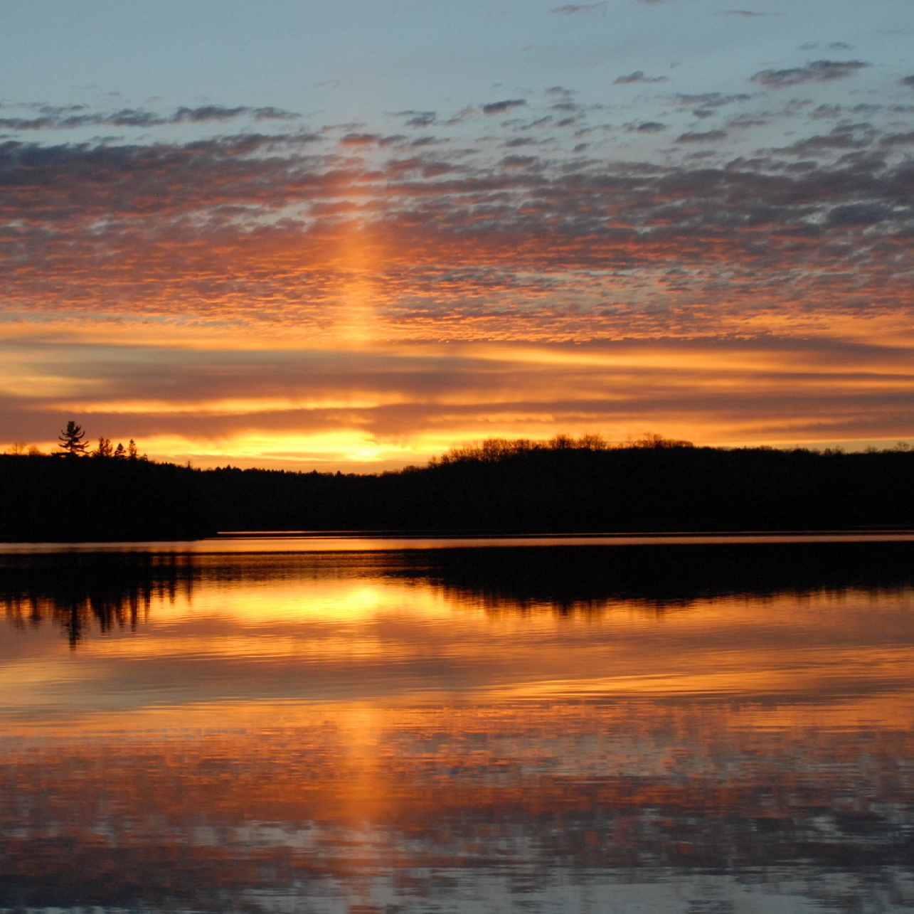 A sunset over a lake with trees in the background