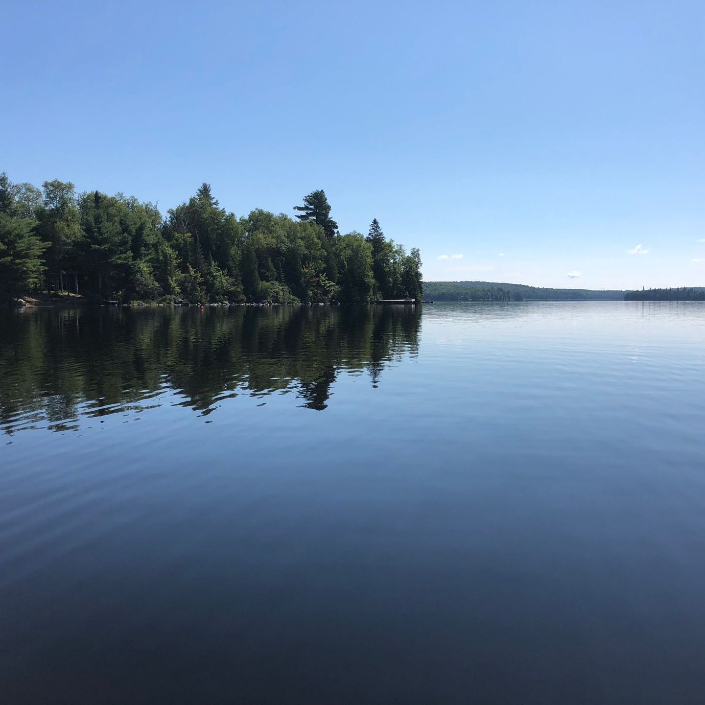 A large body of water with trees on the shore