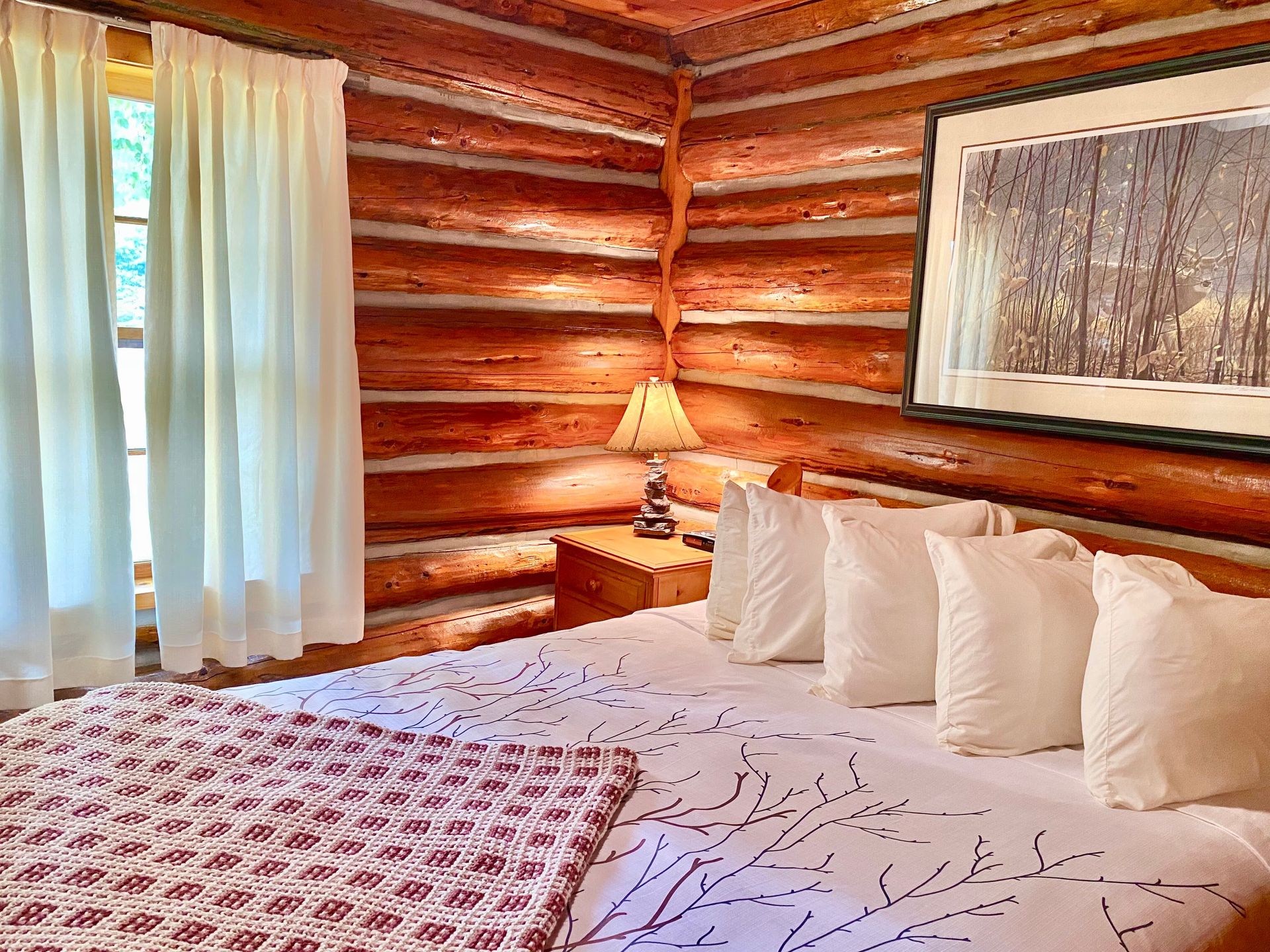 Hay Lake Cottages Book Your Stay near Algonquin Park