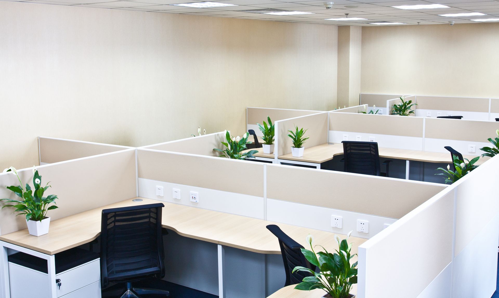 office cleaning