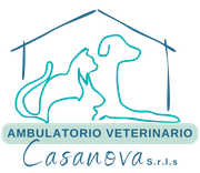 Un logo per un veterinario di nome Casanova
