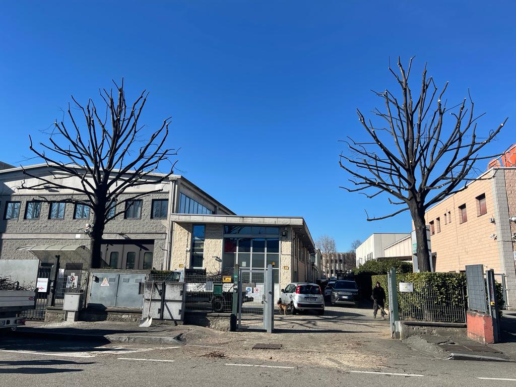 Giardiniere Rivoli, Grugliasco, Torino, Collegno F.B. GARDEN