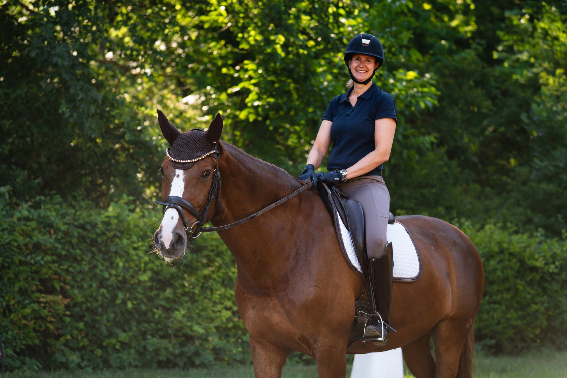 Person auf einem braunen Pferd in Reitkleidung, steht im Freien vor Bäumen