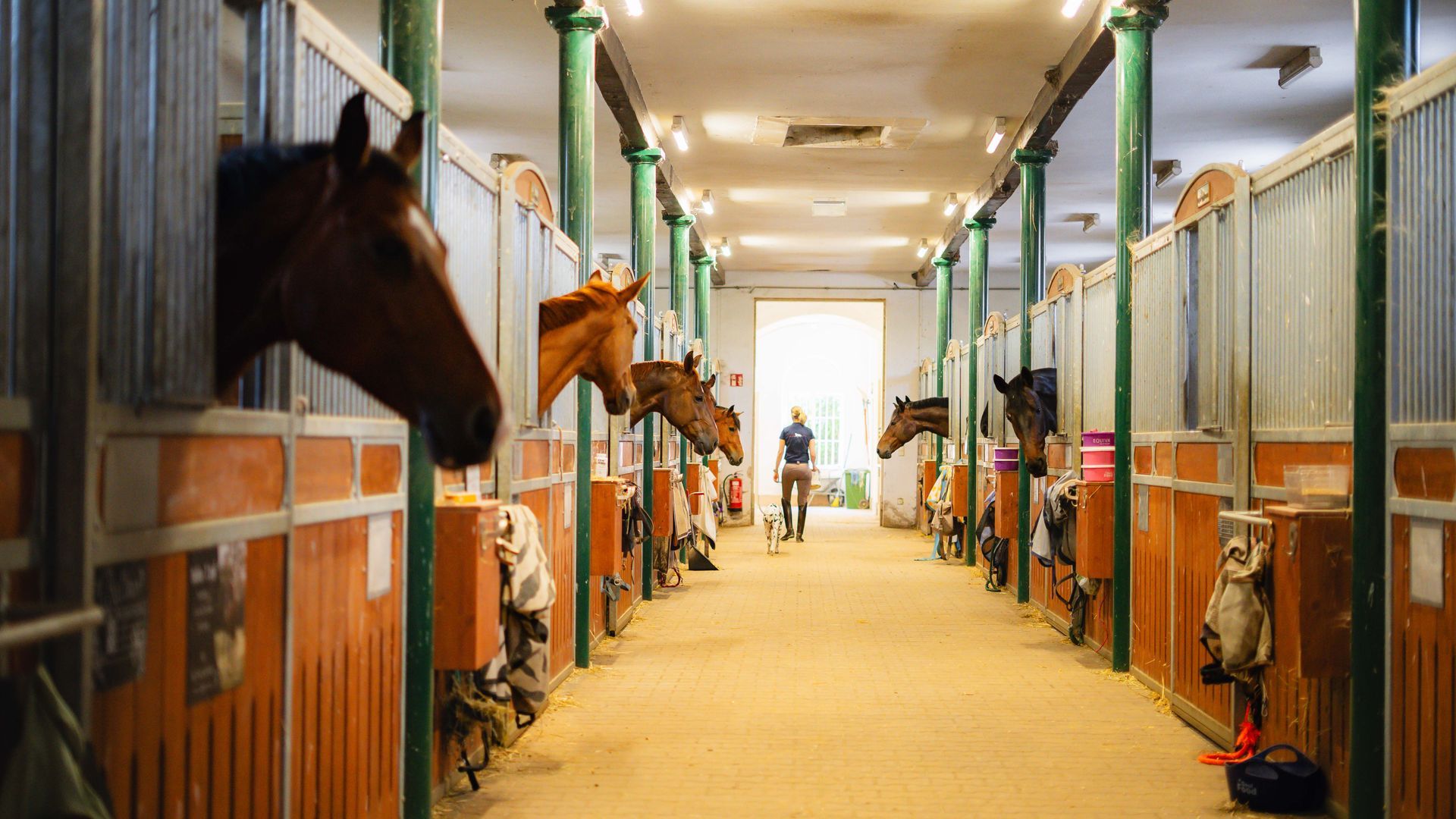 Ein Stallgang mit Pferden in ihren Boxen und einer Person, die in der Ferne entlanggeht.