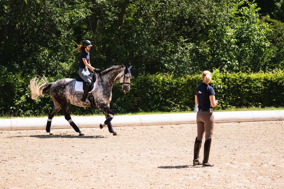 Reiter auf einem Schimmelpferd in einer Reithalle im Freien, gegenüber einem in der Nähe stehenden Trainer.