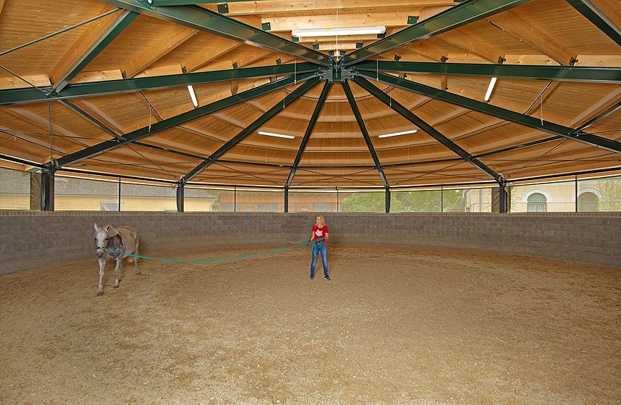 Reithalle mit zwei Personen und einem Pferd unter einem Holzdach