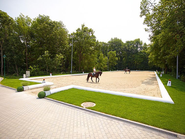 Reiter auf Pferden in einer sandigen Reitarena neben einem von Bäumen gesäumten Parkweg
