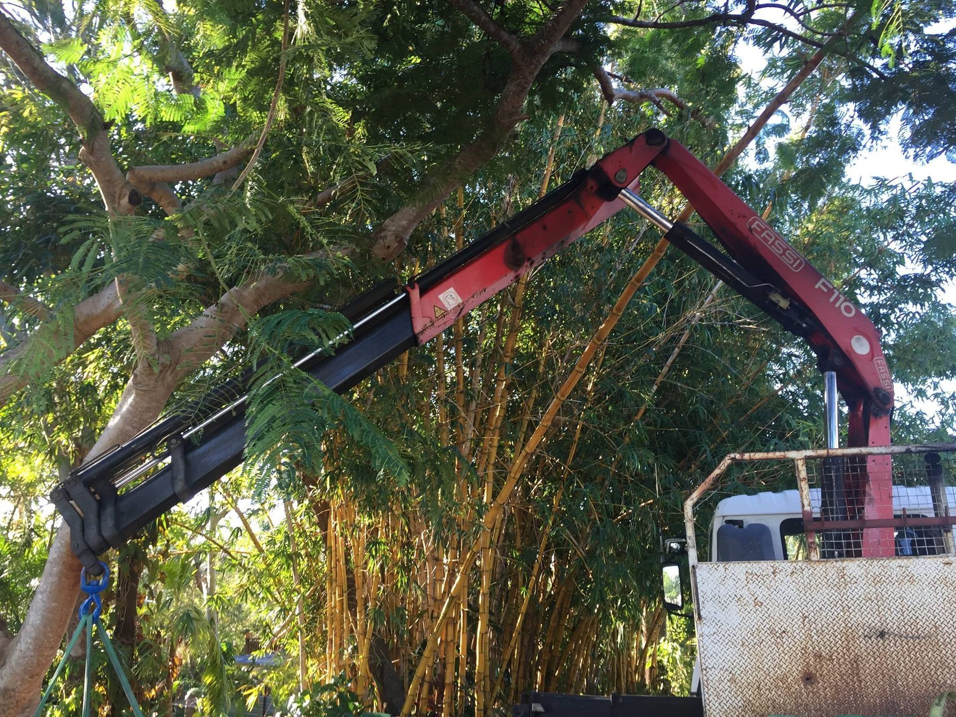 A Red Crane on A Truck Trimming Tree Branches on A Sunny Day — J & M Transport Plus in Emu Park, QLD