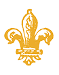 logo icon