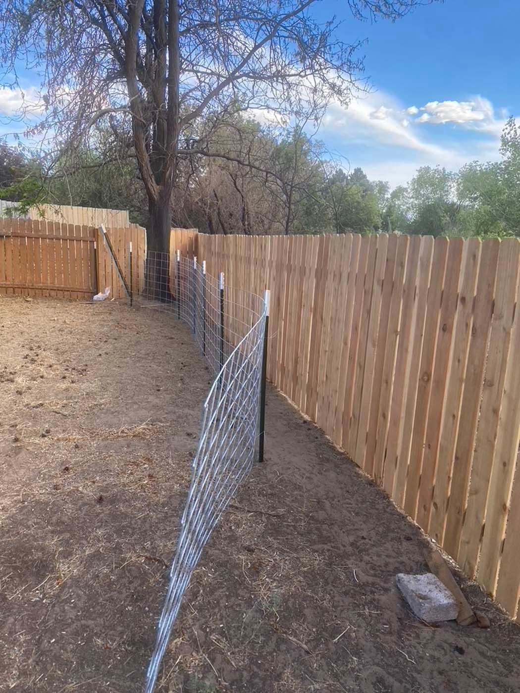 Backyard with a wooden fence, chain-link panel, bare trees, and blue sky with clouds