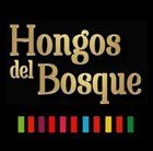 hongos del bosques - logo